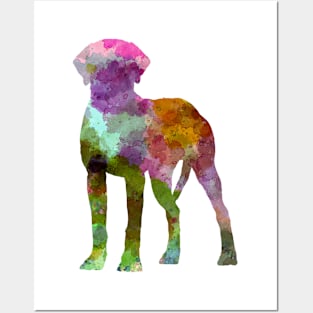 Rhodesian Ridgeback in watercolor Posters and Art